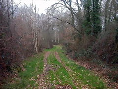 DSCN0128 DSCN0128