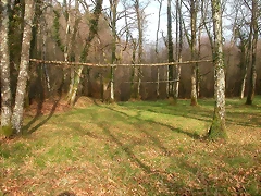 DSCN0136 DSCN0136