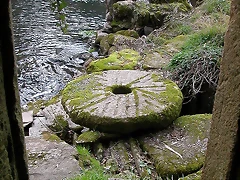 DSCN0145 DSCN0145