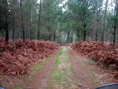 DSCN0196 DSCN0196