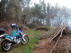 DSCN0201 DSCN0201