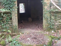 DSCN0168 DSCN0168