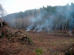 DSCN0200 DSCN0200