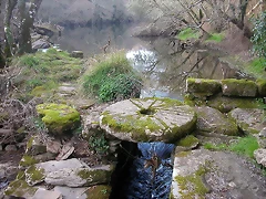 DSCN0161 DSCN0161