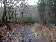 DSCN0198 DSCN0198