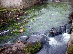 DSCN0235 DSCN0235