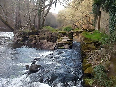 DSCN0156 DSCN0156