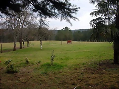 DSCN0192 DSCN0192