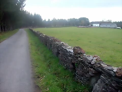 DSCN0211 DSCN0211