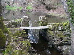 DSCN0151 DSCN0151