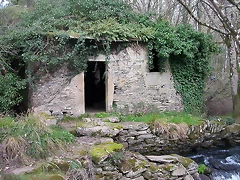 DSCN0152 DSCN0152