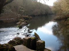 DSCN0147 DSCN0147