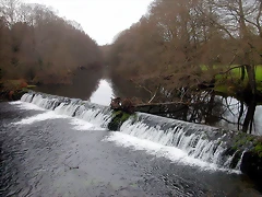 DSCN0179 DSCN0179
