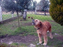 DSCN0191 DSCN0191