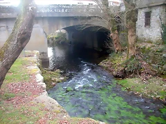 DSCN0233 DSCN0233