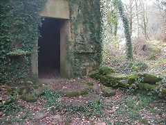 DSCN0142 DSCN0142