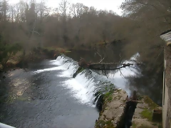 DSCN0175 DSCN0175
