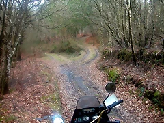 DSCN0205 DSCN0205