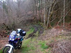 DSCN0202 DSCN0202
