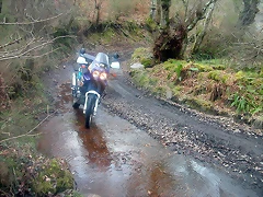 DSCN0203 DSCN0203