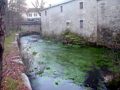 DSCN0242 DSCN0242
