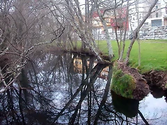 DSCN0239 DSCN0239