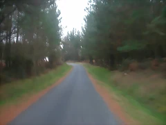 DSCN0215 DSCN0215