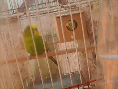 foto 1 foto 1