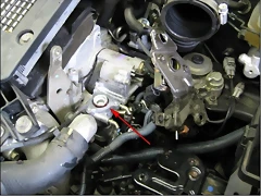 EGR2