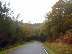DSCN1180 DSCN1180