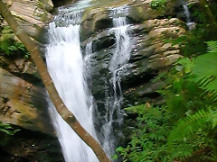 DSCN3774 DSCN3774