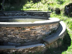 DSCF2519 DSCF2519