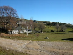DSCN6901 DSCN6901