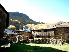 DSCN9856 DSCN9856