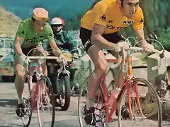 MERCKX,GUIMAR