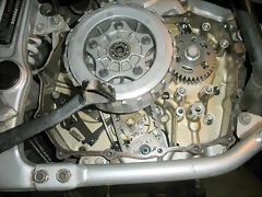 DSCN4516 DSCN4516