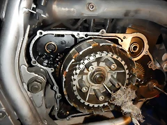 DSCN5781 DSCN5781