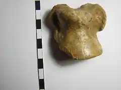 Ursus spelaeus, astragalo, pleistoceno, Novara, Italia