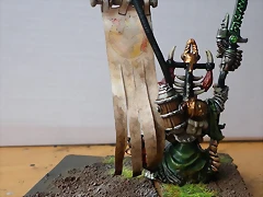 IMGP1575