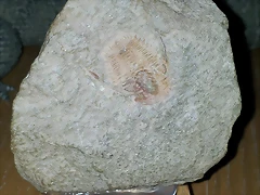 20140920_192256 20140920_192256