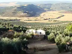 cortijo de gngora