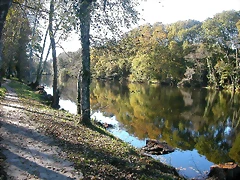 DSCN6355 DSCN6355