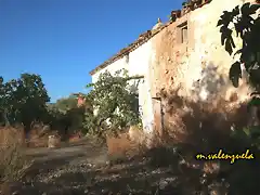 14, cortijo, marca