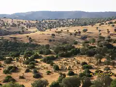 05, la sierra abre los ojos, marca