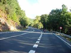 DSCN5574 DSCN5574
