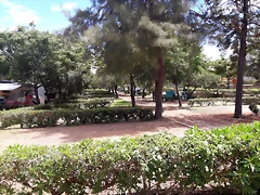 IMG-20180702-WA0017 IMG-20180702-WA0017