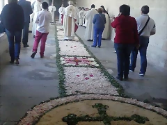 Corpus 2015 (3)