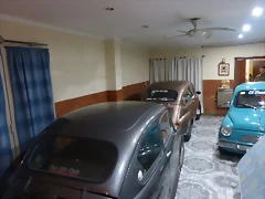 P1180554 P1180554