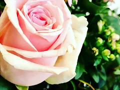Mar?a IG 14-4-2018 (3) Mar?a IG 14-4-2018 (3)