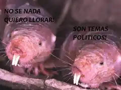 RATAS TOPOS